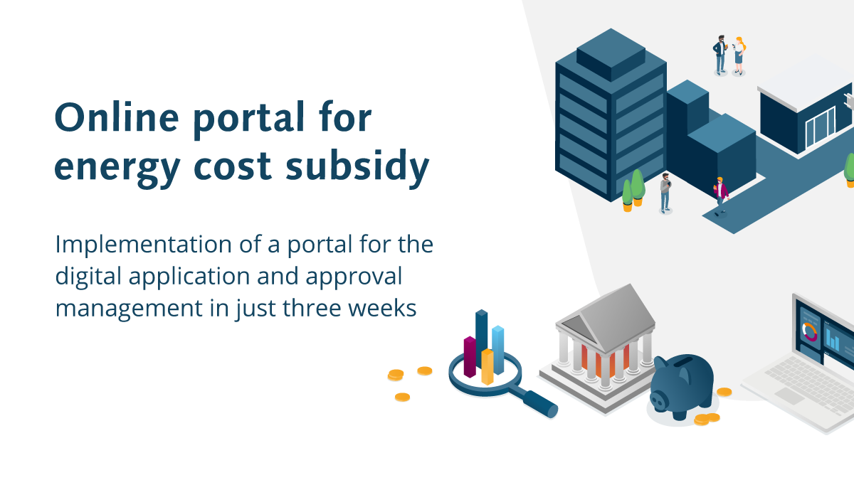 Online portal for energy cost subsidy