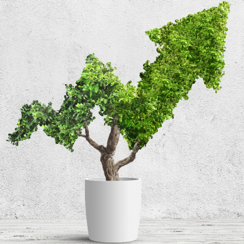 Are you ready for the new rules on ESG investment coming into force in March 2021?